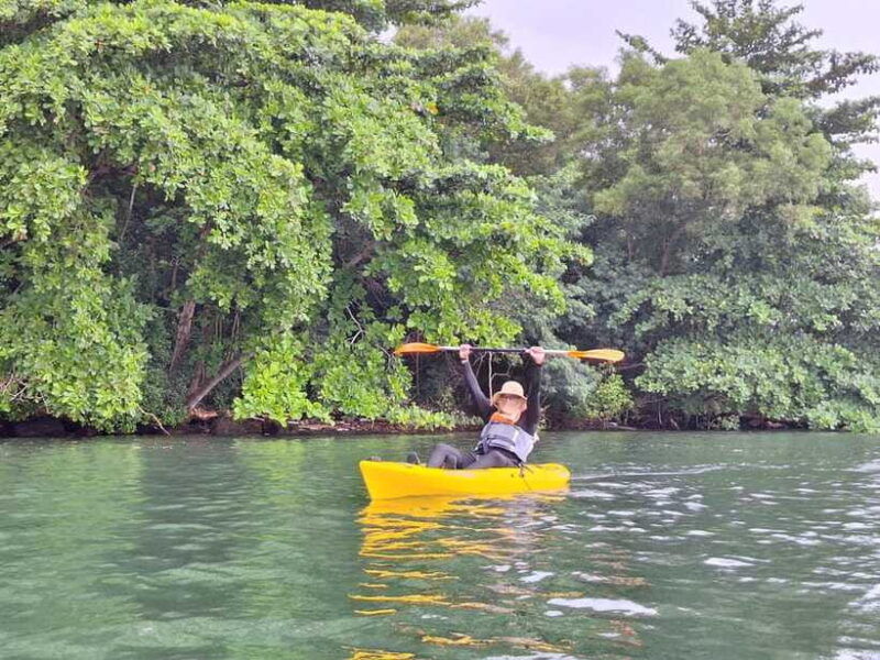 round-ketam-kayaking-at-pulau-ubin