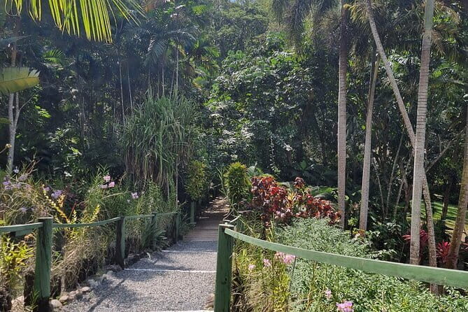 Round The Island Day Trip Fiji- Viti Levu - The Sum Up