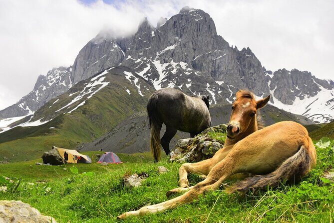Round Trip Bus Transfer to Juta from Kazbegi - The Sum Up: Is This the Right Choice for You?