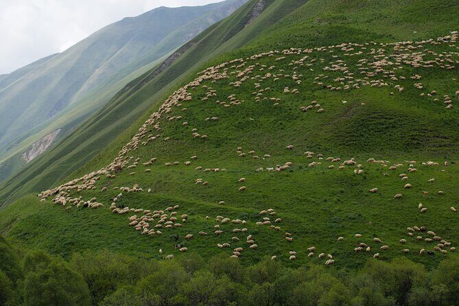 Round-Trip Bus Transfer to Truso Valley from Kazbegi - Key Points