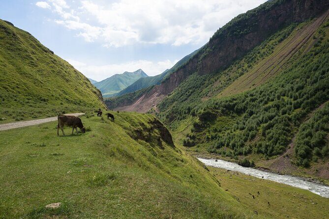 Round-Trip Bus Transfer to Truso Valley from Kazbegi - Reviews and Authentic Insights