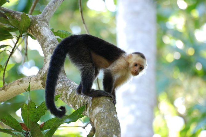 round-trip-liberia-airport-guanacaste-arenal-la-fortuna