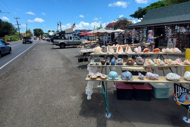 round-trip-north-shore-shuttle-from-waikiki-to-haleiwa-town-haleiwa-harbor