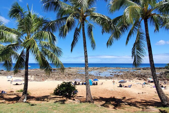 round-trip-north-shore-shuttle-from-waikiki-to-haleiwa-town-haleiwa-harbor