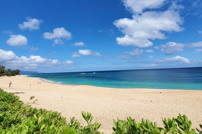 round-trip-north-shore-shuttle-from-waikiki-to-haleiwa-town-haleiwa-harbor