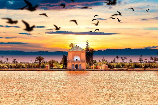 Round Trip Private Transfer Airport In Marrakech - What to Expect on Your Transfer