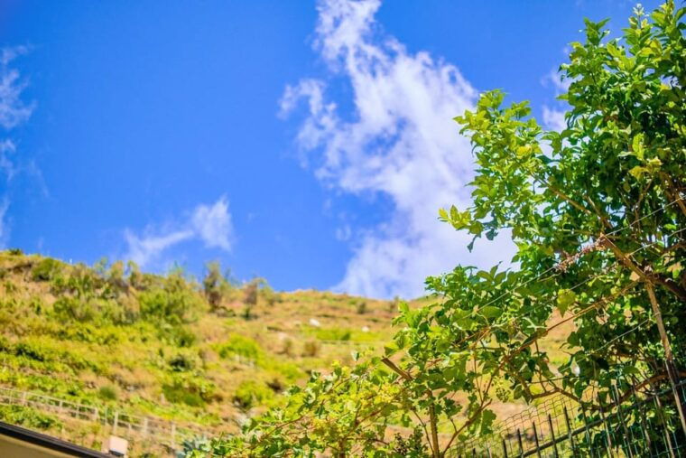 round-trip-transfer-to-cinque-terre-from-florence