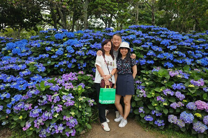 Round-trip transportation service to O`sulloc Tea Museum - FAQ