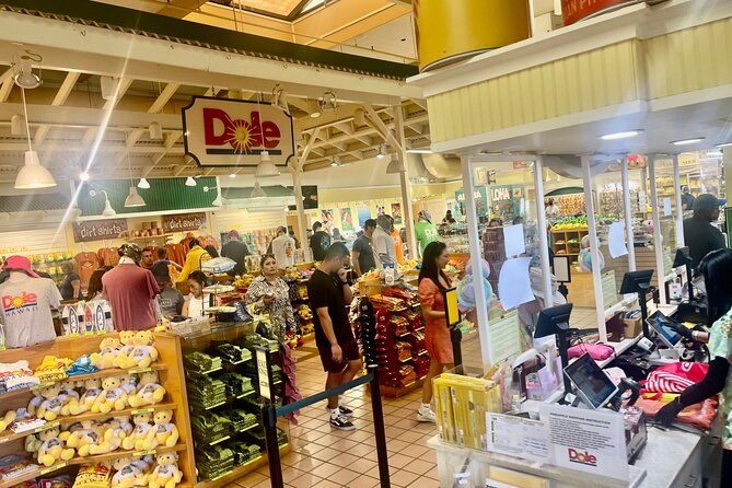 roundtrip-shuttle-from-waikiki-to-dole-plantation-haleiwa-town