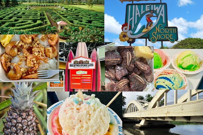 roundtrip-shuttle-from-waikiki-to-dole-plantation-haleiwa-town