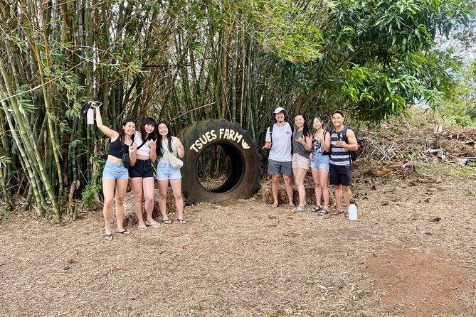 roundtrip-shuttle-from-waikiki-to-dole-plantation-haleiwa-town