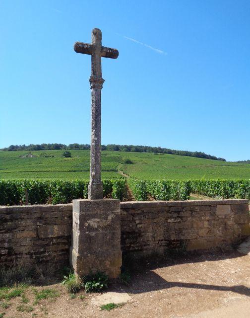 route-des-grands-crus-private-wine-tasting-in-burgundy