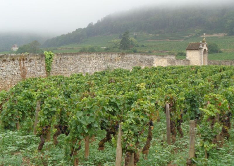 route-des-grands-crus-private-wine-tasting-in-burgundy
