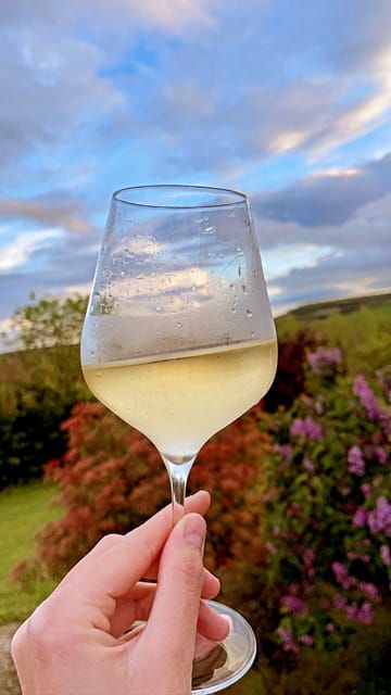 route-of-champagne-food-and-wine-tour