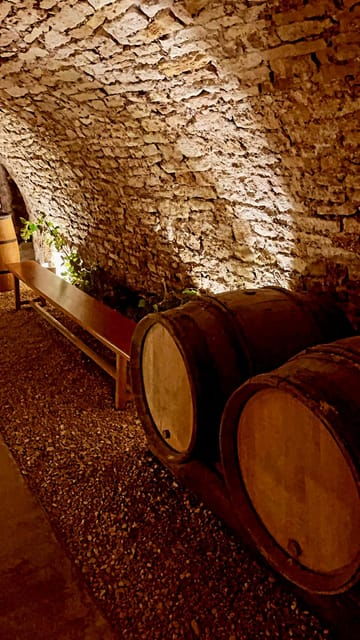 route-of-champagne-food-and-wine-tour