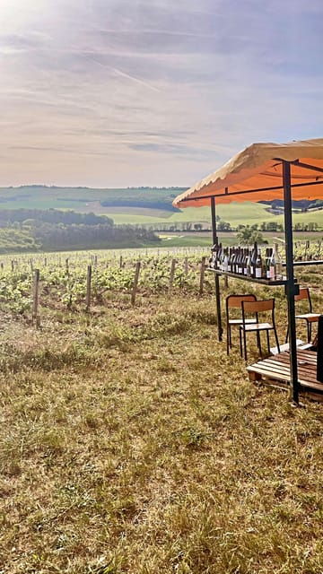 route-of-champagne-food-and-wine-tour