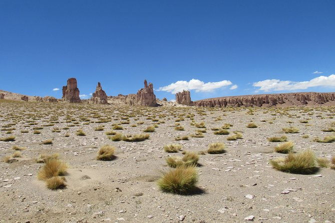 route-of-the-andean-salt-flats