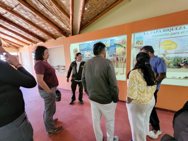 route-of-the-sun-between-cusco-and-puno-in-one-day-with-buffet-lunch