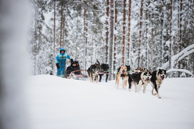 rovaniemi-2-days-activities-package-4