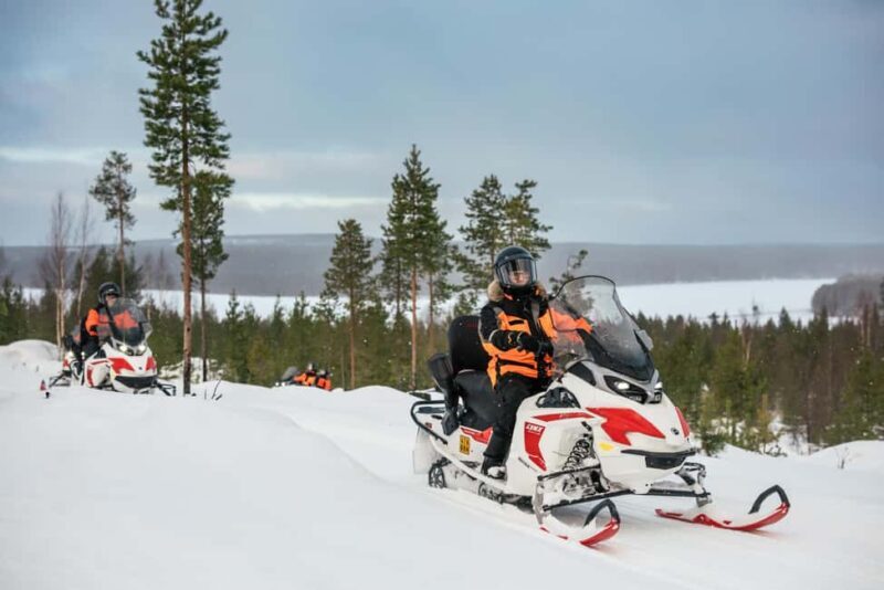 Rovaniemi: 4h Electric Snowmobile Safari at Reindeer Farm - Who Would Love This Tour?