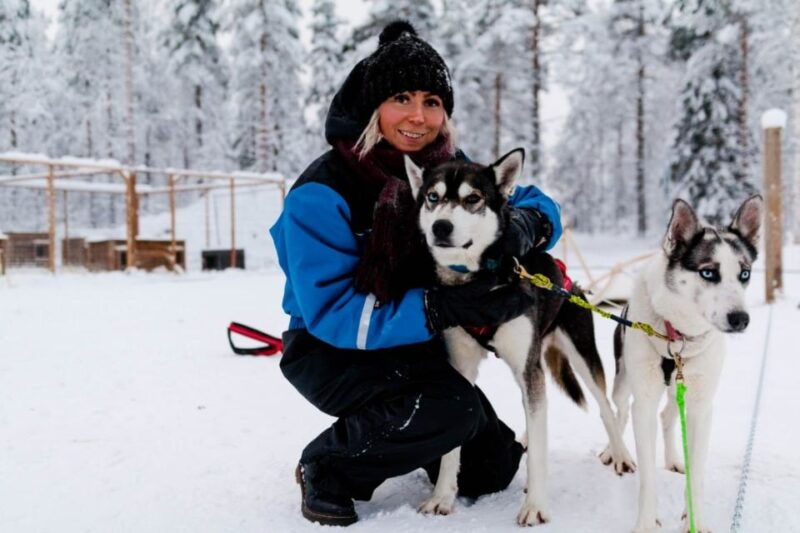 rovaniemi-apukka-husky-adventure