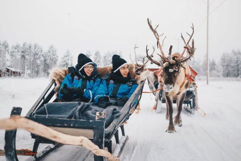 rovaniemi-apukka-reindeer-journey
