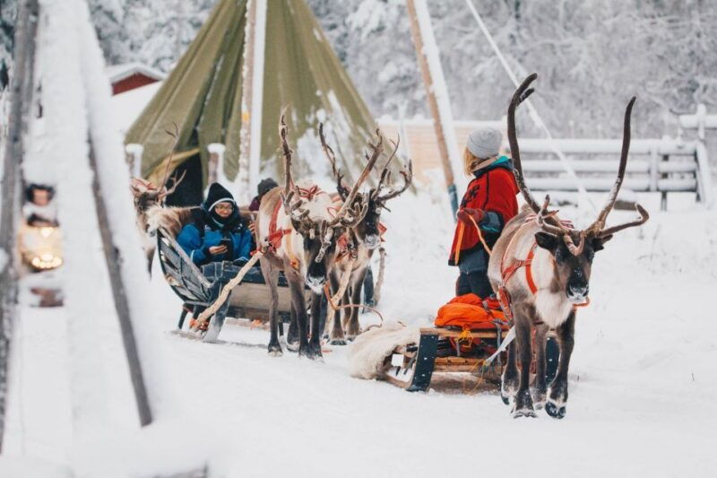 rovaniemi-apukka-reindeer-journey