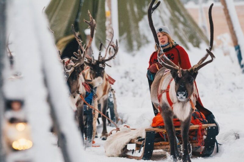 rovaniemi-apukka-reindeer-sleigh-ride-at-night