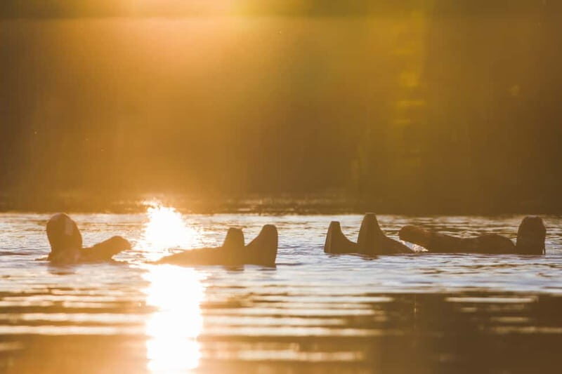 Rovaniemi: Arctic Autumn Floating - FAQ