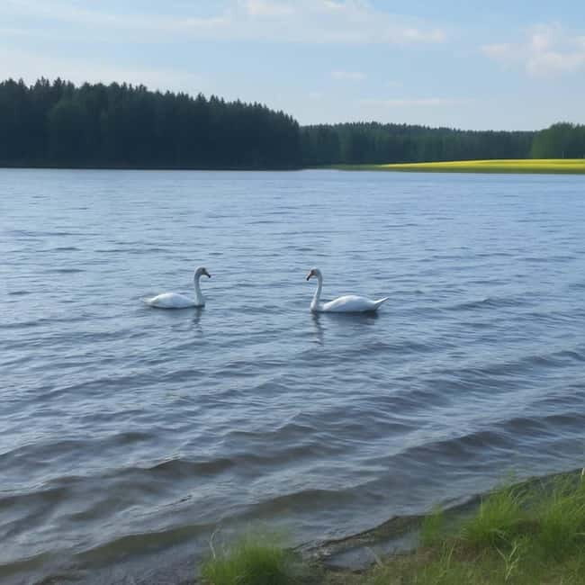 Rovaniemi: Arctic Birdwatching Tour - Exploring the Arctic Birdwatching Experience