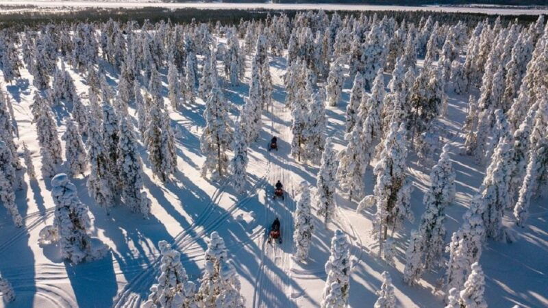 rovaniemi-arctic-circle-family-friendly-snowmobile-tour