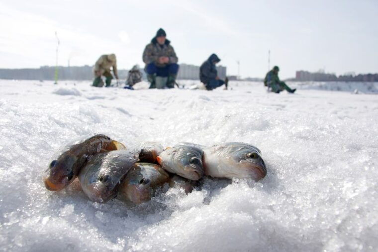 rovaniemi-arctic-circle-ice-fishing-experience