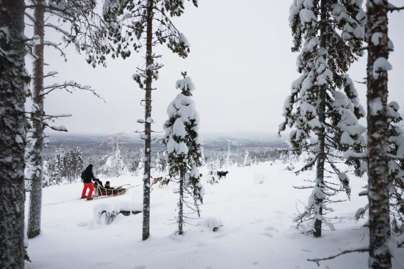 rovaniemi-arctic-circle-long-trail-husky-adventure