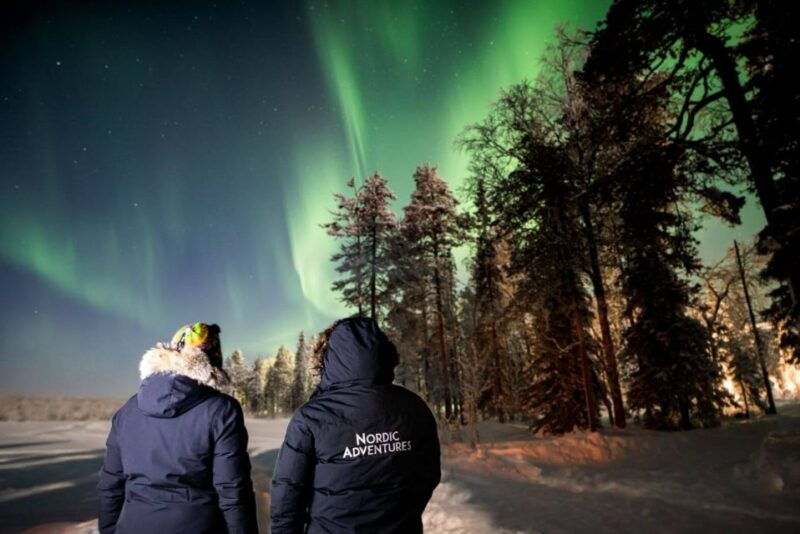 rovaniemi-arctic-ice-floating-and-northern-lights-tour