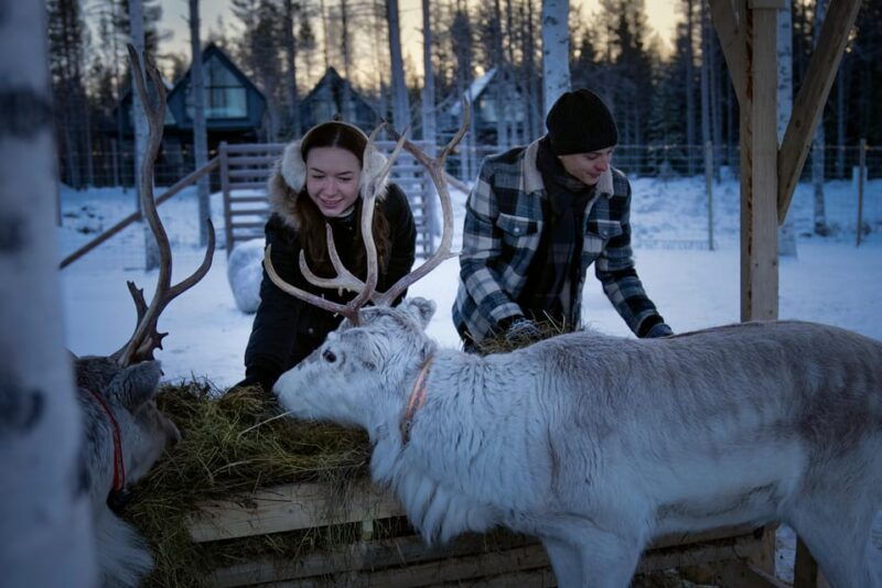 rovaniemi-arctic-reindeer-experience-with-lunch