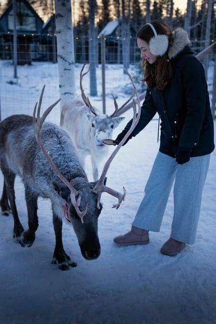rovaniemi-arctic-reindeer-experience-with-lunch