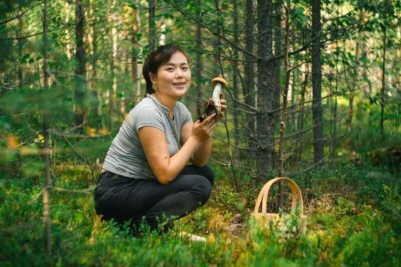 Rovaniemi: Arctic Wild Berry & Mushroom Foraging and Tasting - Exploring the Foraging Experience