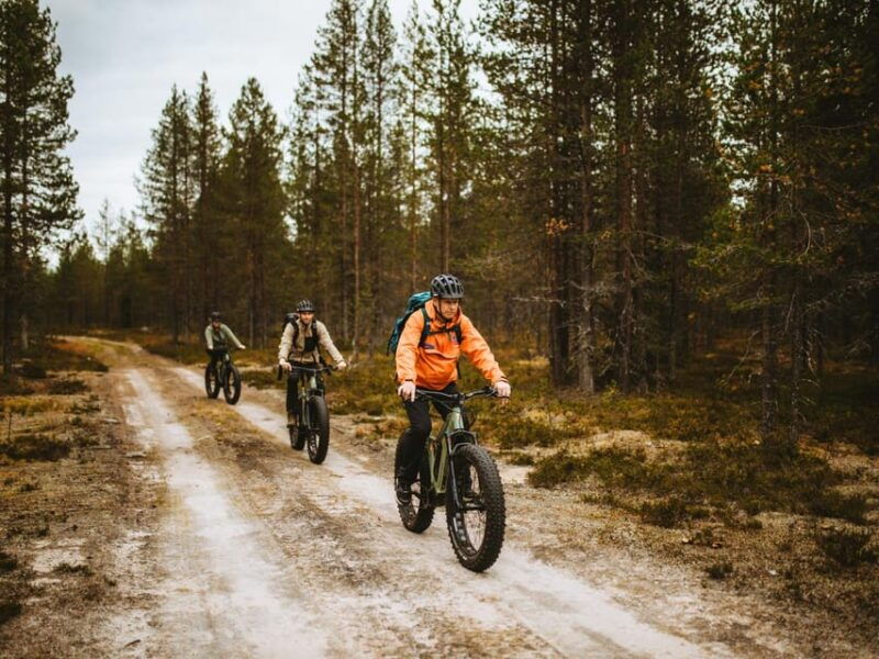 rovaniemi-arctic-wilderness-forests-guided-e-bike-tour