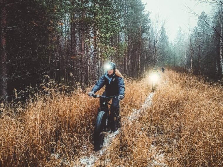 rovaniemi-arctic-wilderness-forests-guided-e-bike-tour