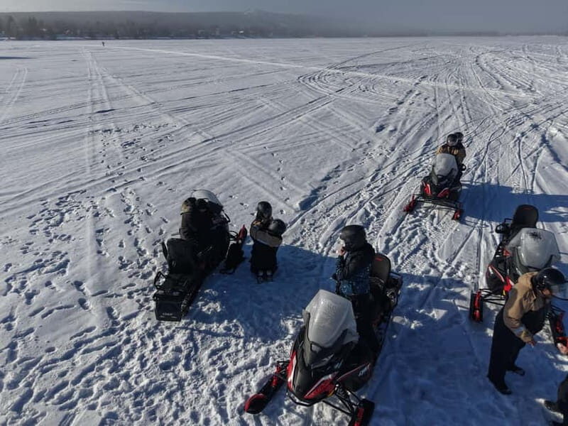Rovaniemi: Arctic Wilderness Snowmobiling Ride - Key Points
