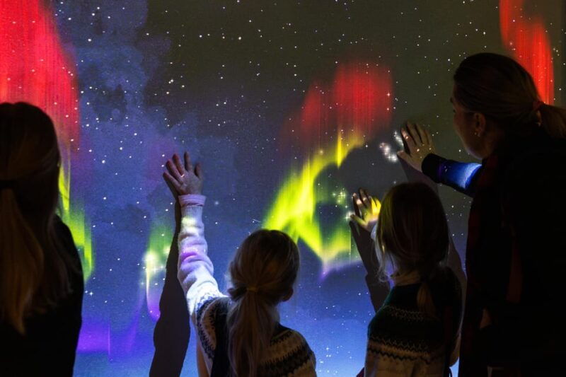 rovaniemi-arktikum-science-centre-and-museum-entry-ticket
