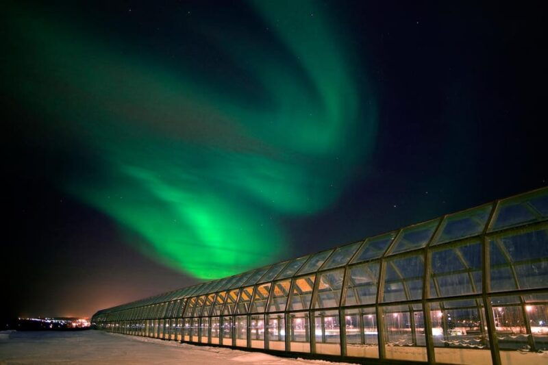 rovaniemi-arktikum-science-centre-and-museum-entry-ticket