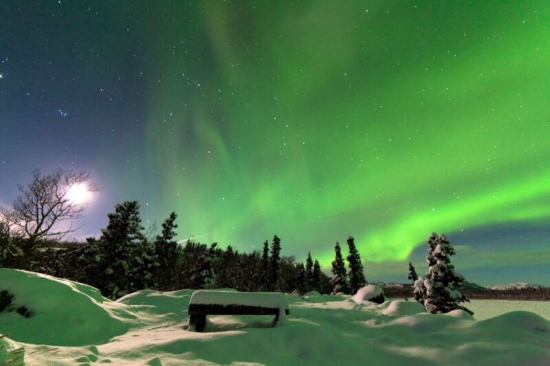 rovaniemi-aurora-borealis-snowmobile-safari-with-campfire