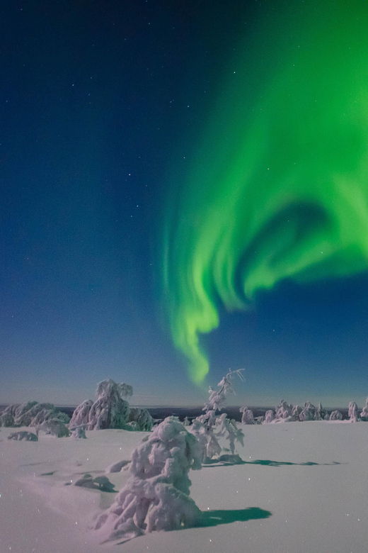 rovaniemi-aurora-guarantee-photography-tour-small-group