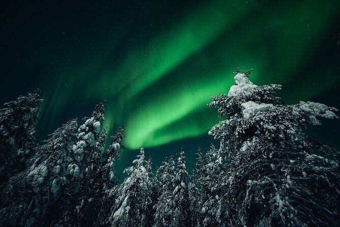 Rovaniemi: Aurora Hunt with Photograph & money back guarantee - Who Should Consider This Tour?