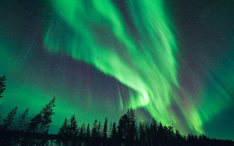 rovaniemi-aurora-hunt-with-photos-and-money-back-guarantee