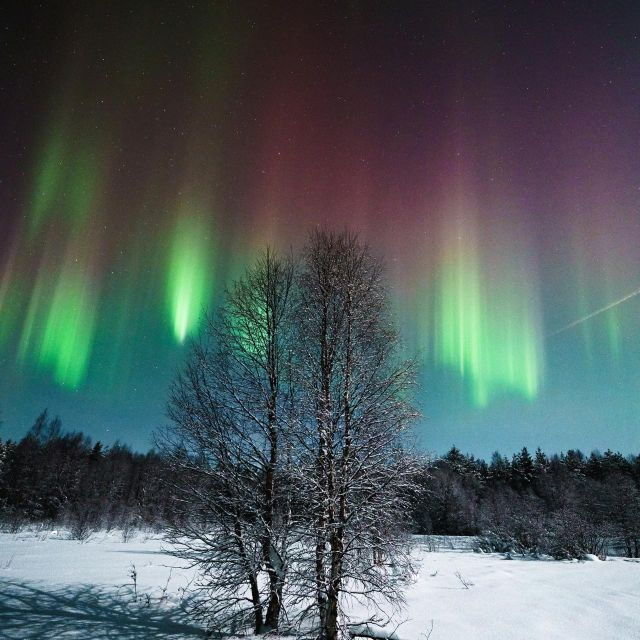 rovaniemi-aurora-hunt-with-photos-and-money-back-guarantee