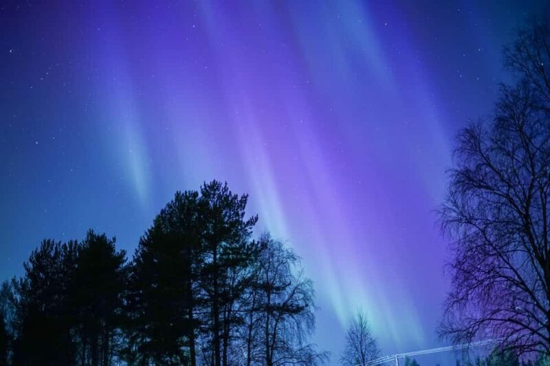 Rovaniemi: Aurora hunting and a fireside BBQ experience - Authentic Reviews that Highlight What Matters