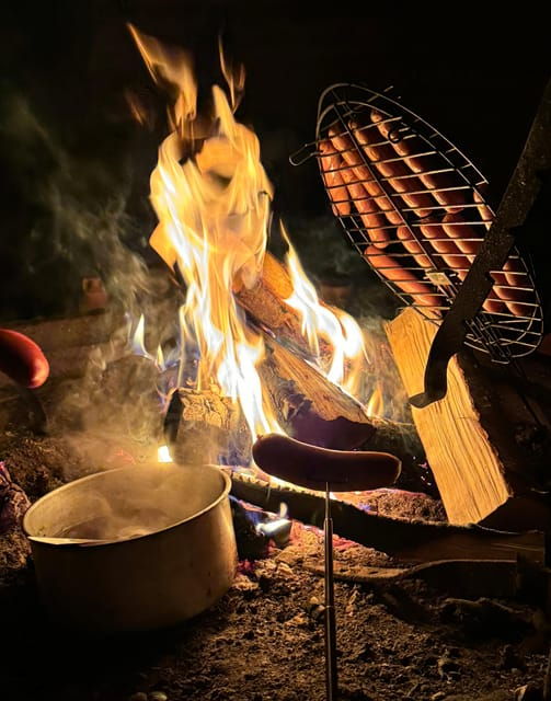 rovaniemi-aurora-hunting-and-a-fireside-bbq-experience