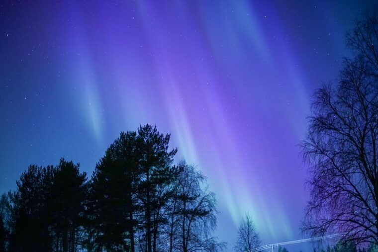 rovaniemi-aurora-hunting-and-a-fireside-bbq-experience